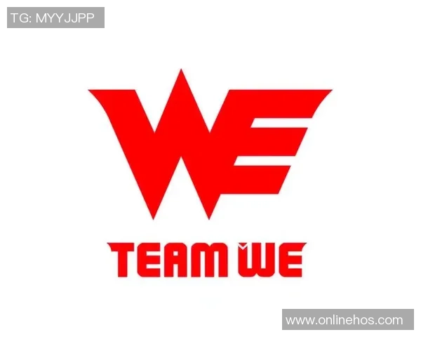 全明星赛特别报道：WE战队的辉煌历程与未来展望