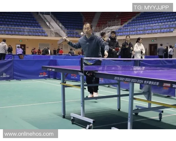 乒乓球专题：深入探讨杭州乒乓球队的团队协作与默契配合