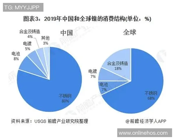 南京极限运动队的灵活性探讨与发展前景分析