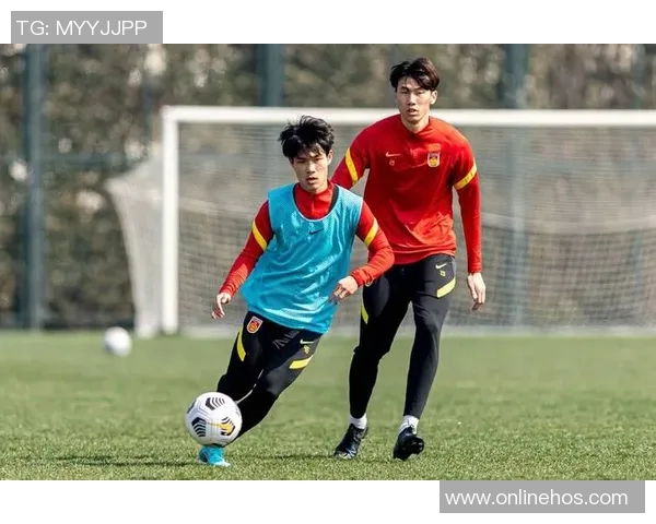 南京飞盘队比赛经验引发热议球迷与专家各执己见探讨争议背后真相