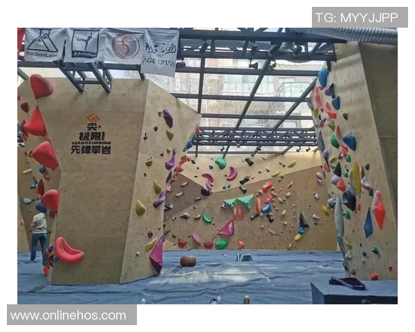 上海攀岩队力量表现数据分析揭示运动员潜力与训练效果